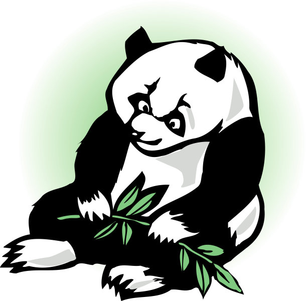 哺乳纲,中国,熊猫