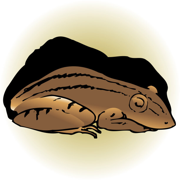 frog