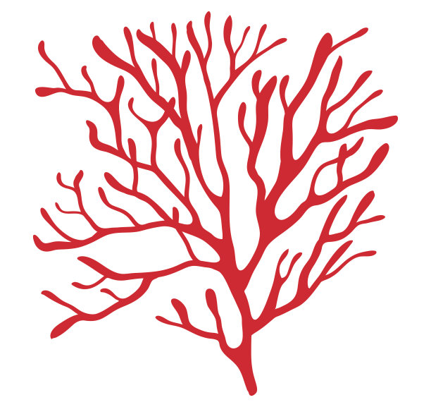corals