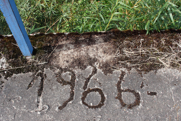 1966