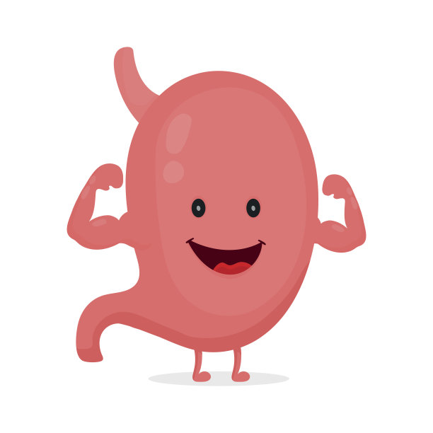 digestion