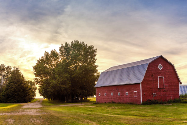 farm