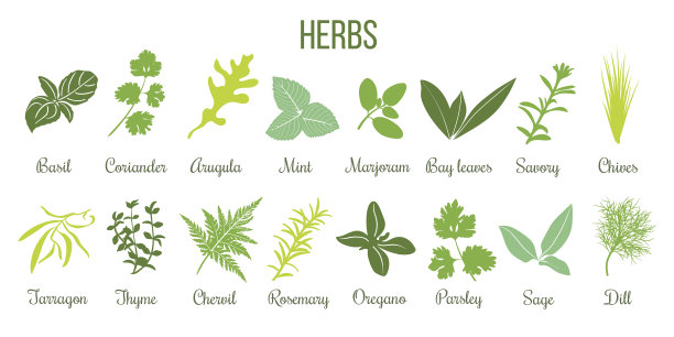 herbs