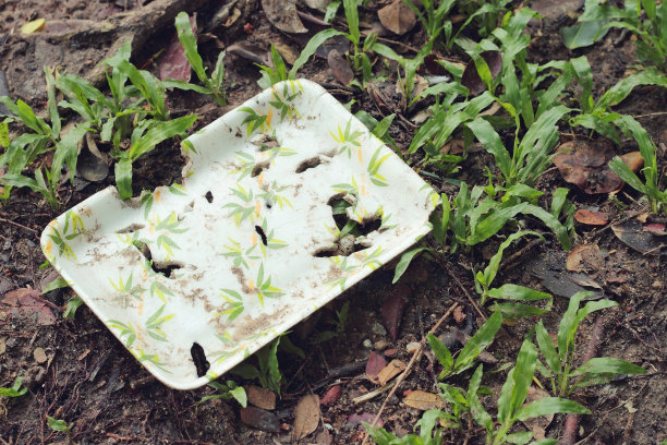 biodegradable
