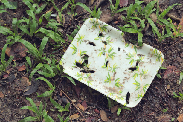 biodegradable