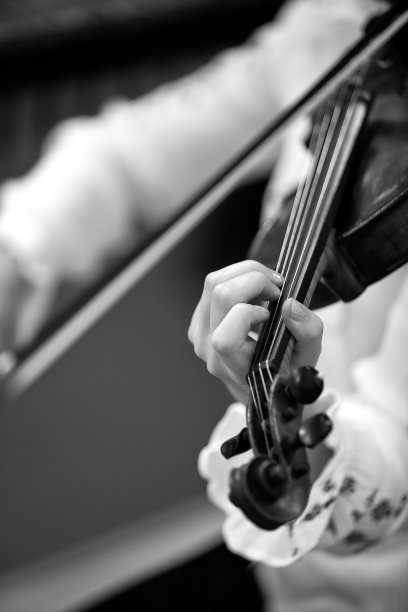 fiddle
