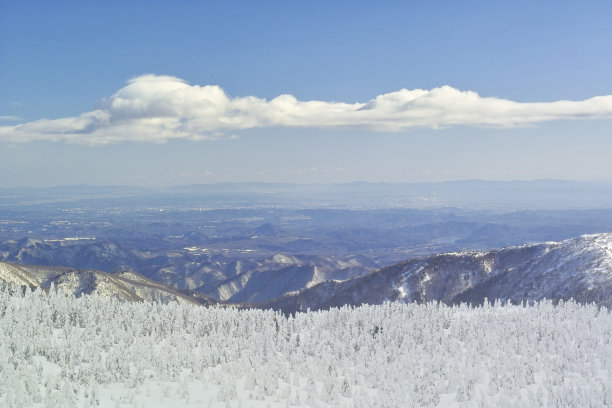 山形