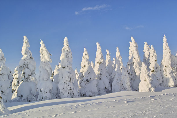 雪山山形