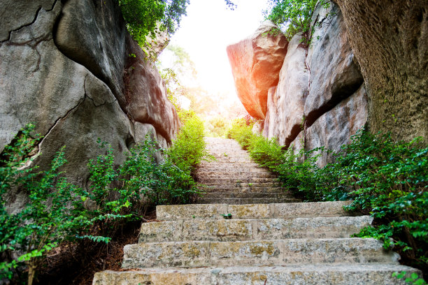 森林登山步道