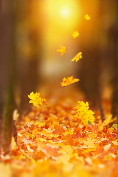 fall