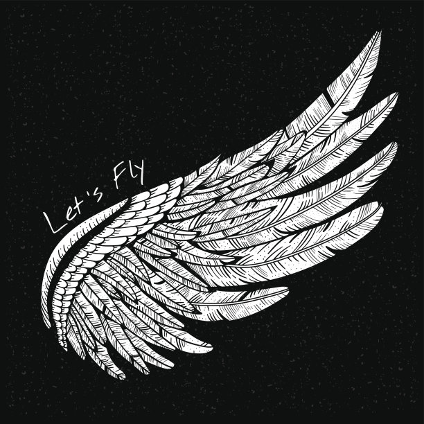 wings