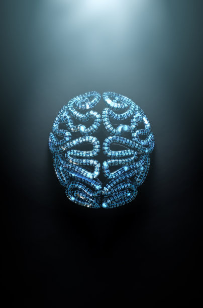 brain