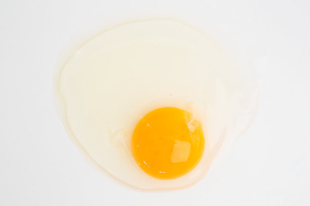 yolk