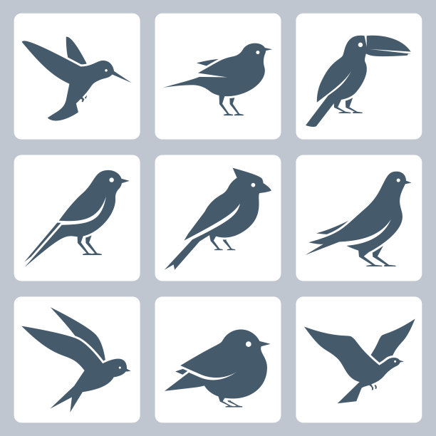 birds