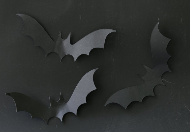 bat
