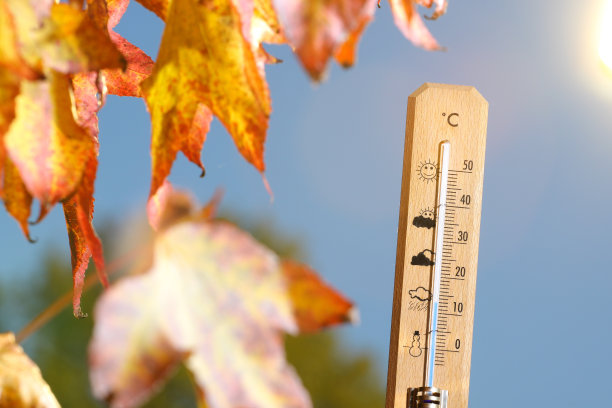 temperature