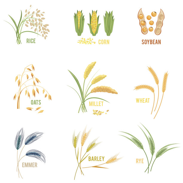 millet