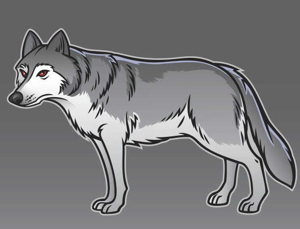 wolf