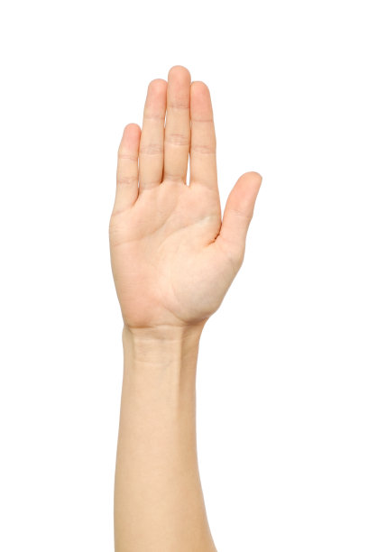 palm