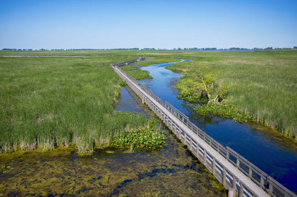 boardwalk