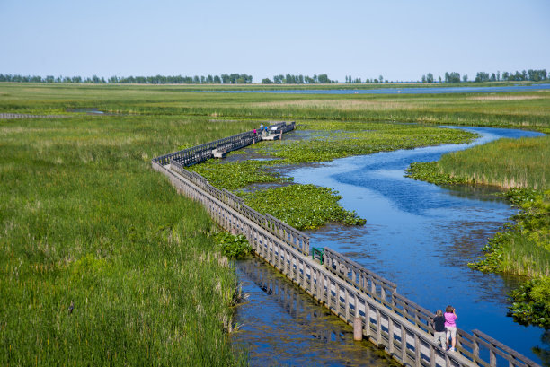 wetland