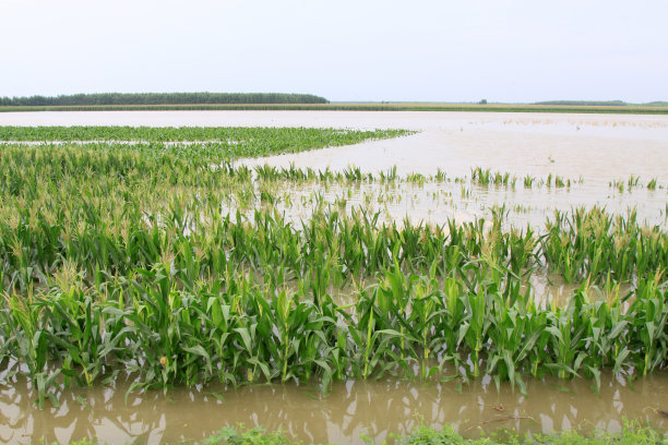 flood