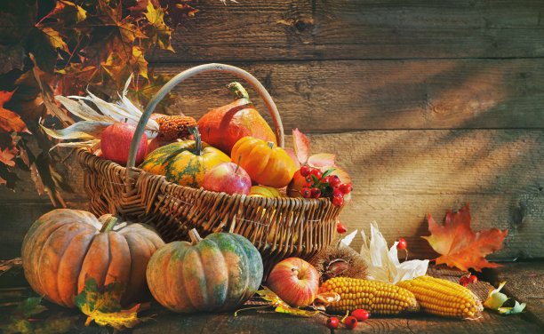 harvest