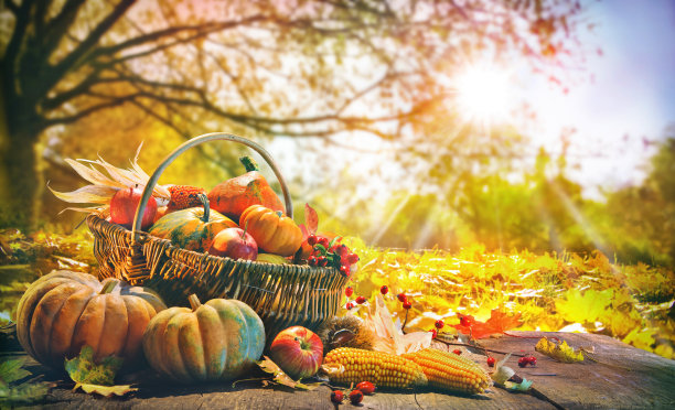harvest