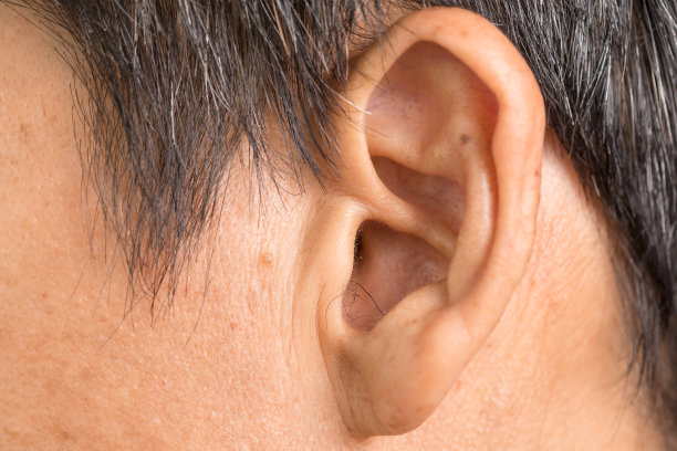 ear