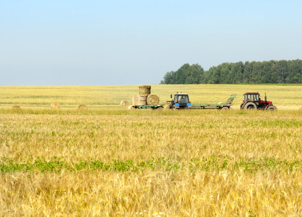 belarus