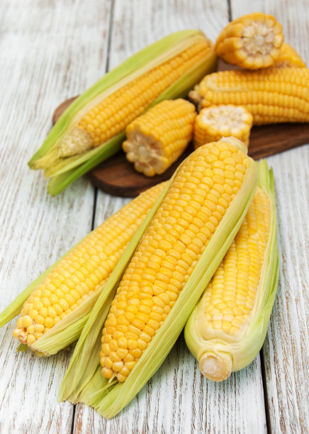 maize