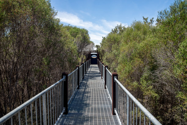 boardwalk