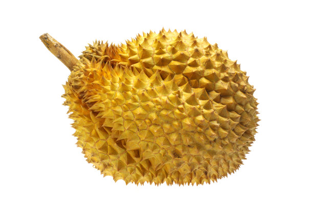 durian