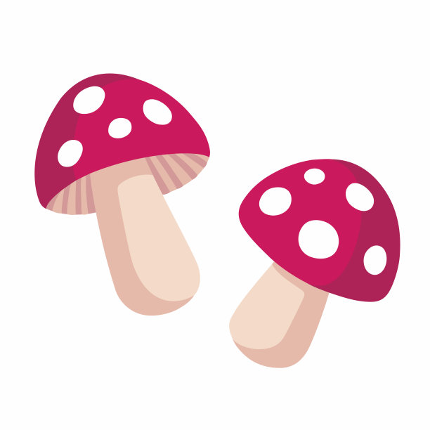 toadstool