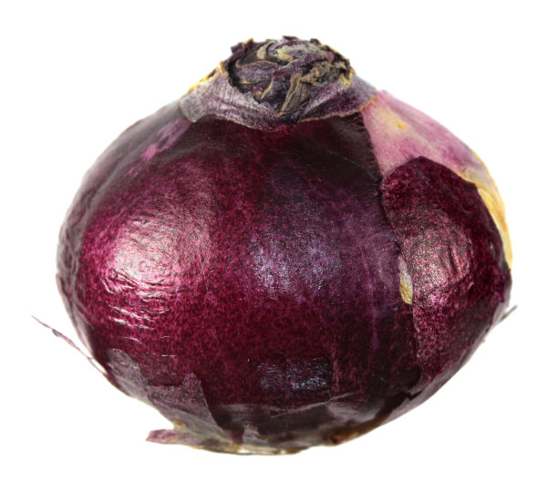 hyacinth