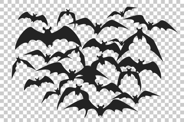 bat