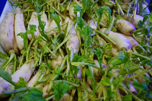 radishes