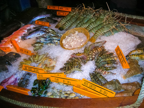波纹龙虾