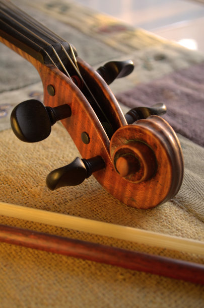 violin