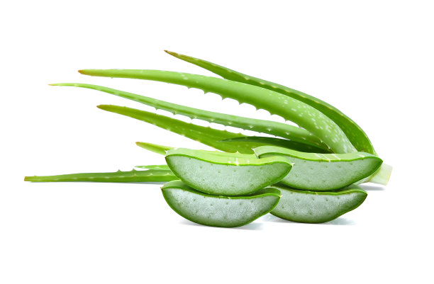 aloe
