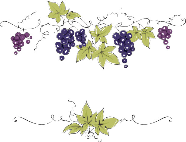 vitis