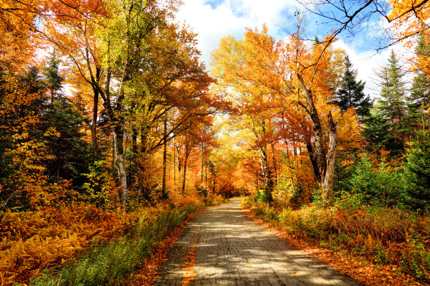 fall