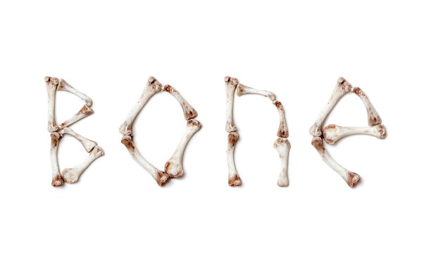 skeleton