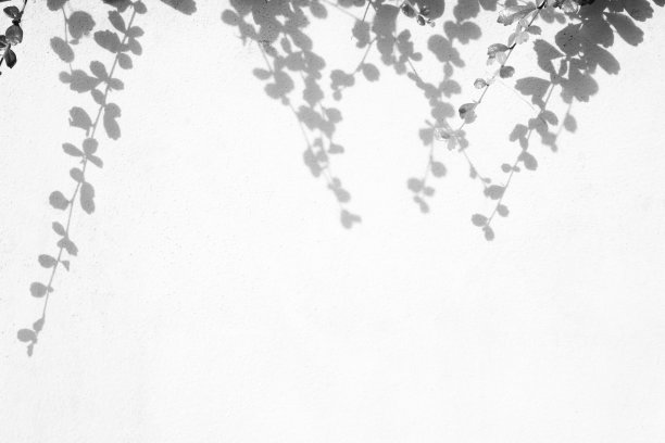 shadow