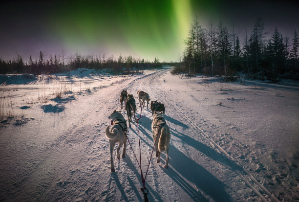 arctic