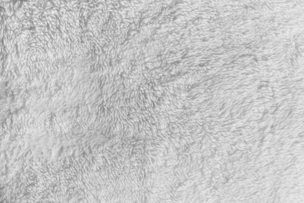 动物毛发纹理