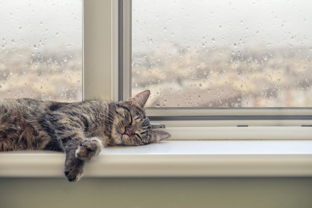 sill