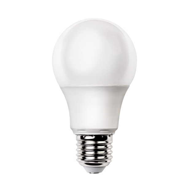 bulbs
