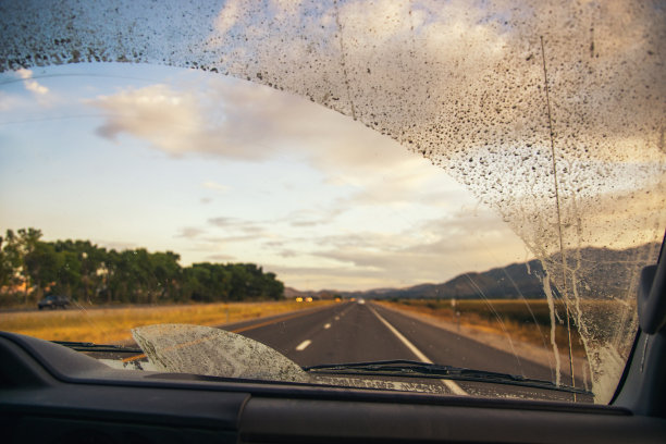 windshield