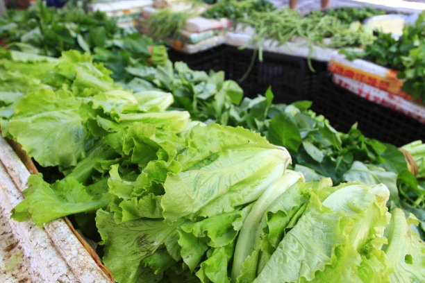 农贸市场绿色蔬菜